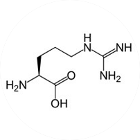 L-Arginine Molecule